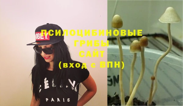 тгк Нефтекумск