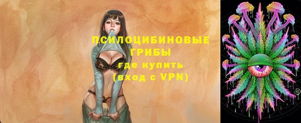 винт Новокубанск