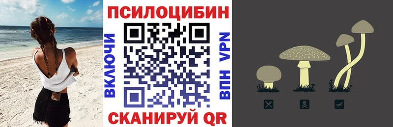 Галлюциногенные грибы MAGIC MUSHROOMS Кедровый